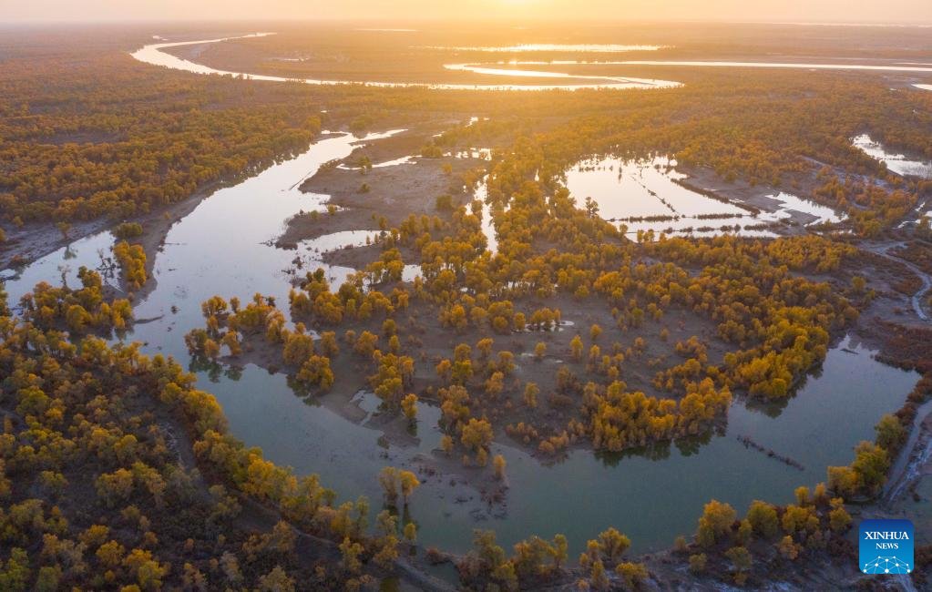 ⛰️ 잇사이쿄 산 (잇사이쿄잔) 이미지 8